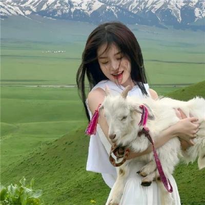 大使的宝藏家宴